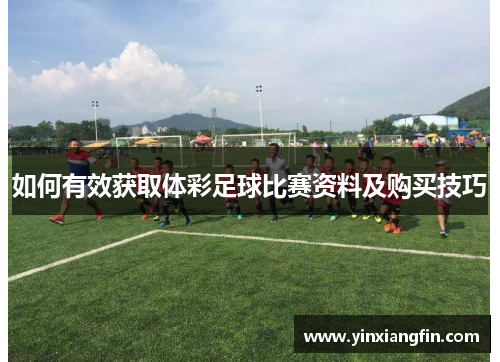 如何有效获取体彩足球比赛资料及购买技巧
